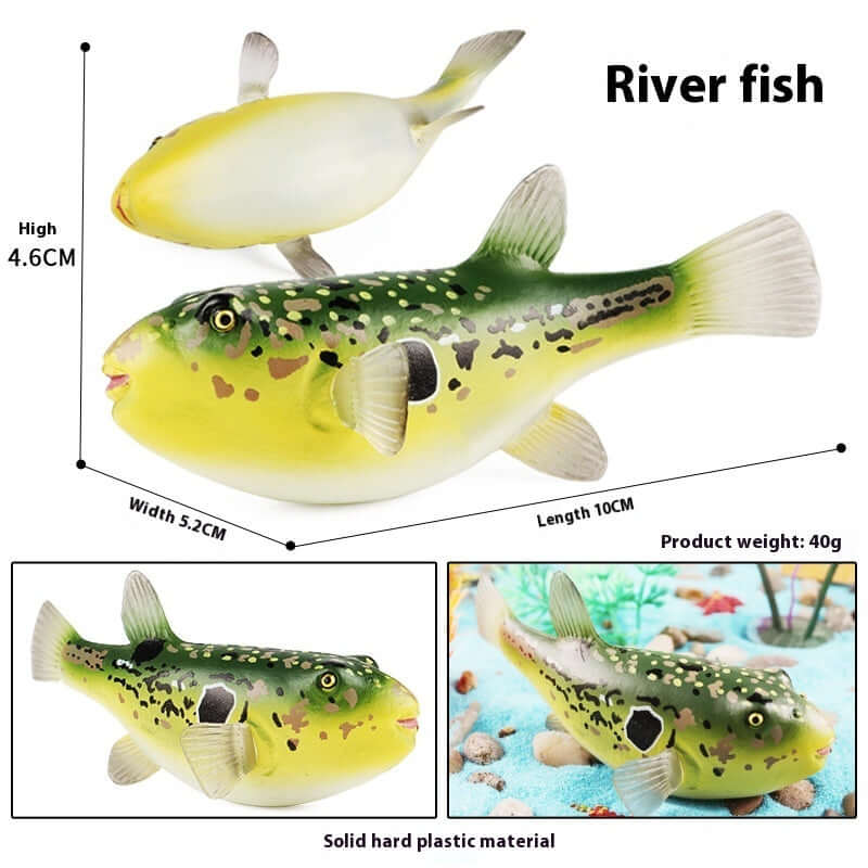 Modèle en plastique de poisson d'eau douce, jouet éducatif pour enfants, stimulateur cognitif.