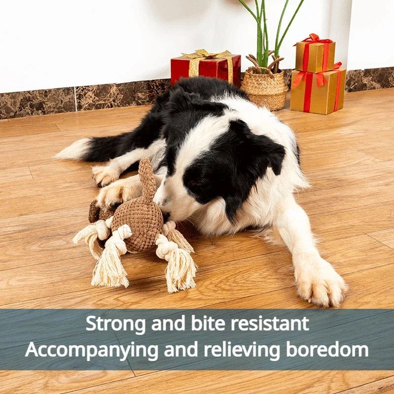 Jouet en Peluche Vocalisant pour Chiens