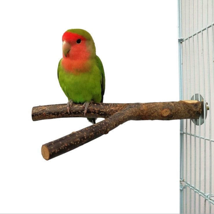 Jouet à mâcher en rattan pour oiseaux - Cadre de volière