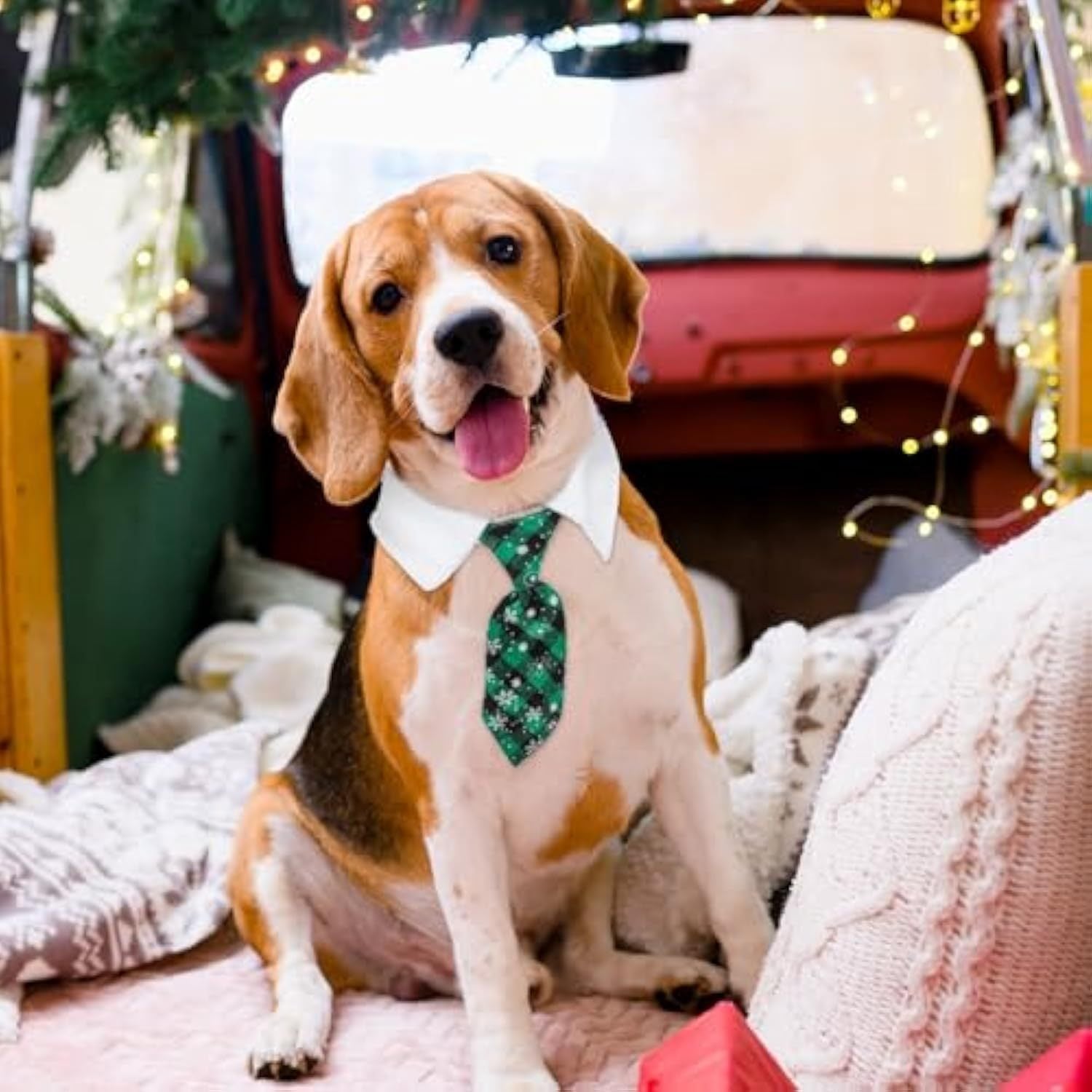 Beagle wearing a green tie and white shirt, sitting happily in a festive decorated car.
