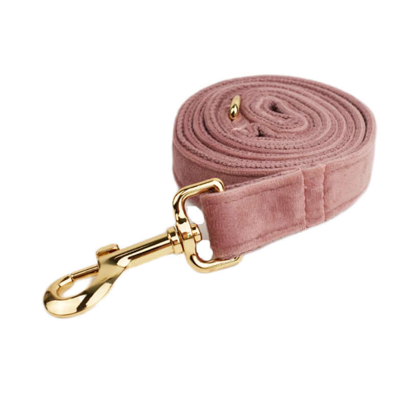 Laisse pour chien en velours rose pâle avec mousqueton doré, élégante et durable.