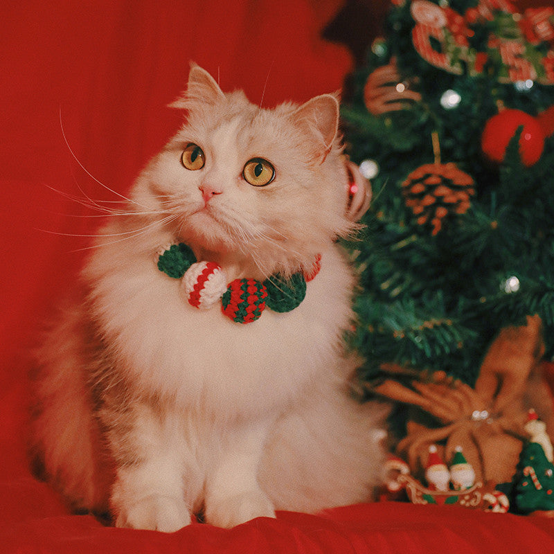 Chat élégant avec un collier festif, assis près d'un sapin de Noël décoré.