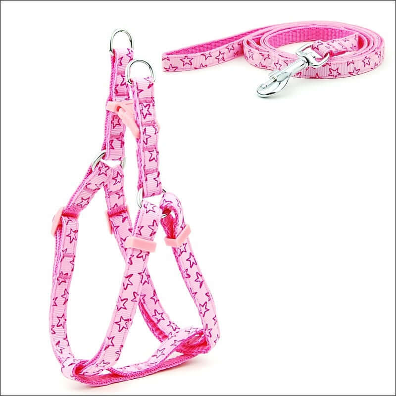 Laisse et harnais rose à étoiles pour petits chiens, accessoire confortable et élégant.