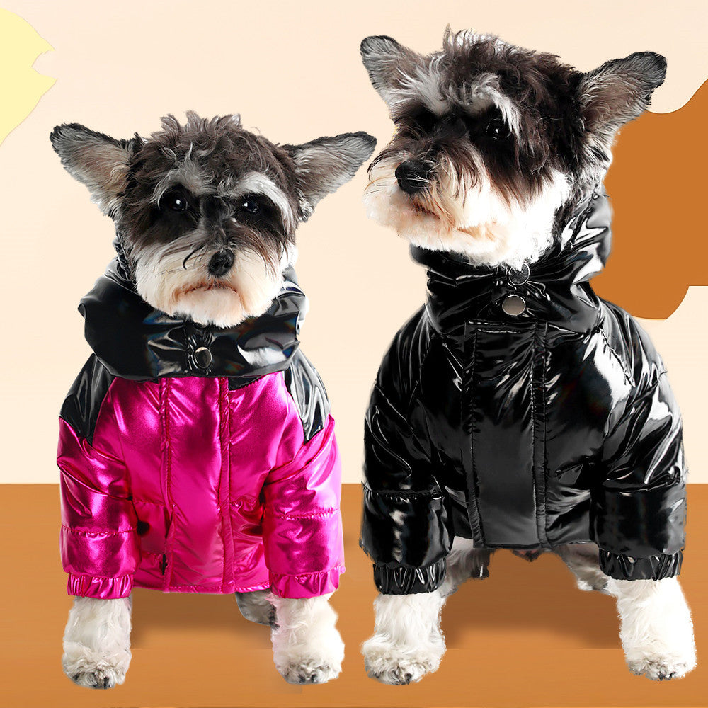 Deux chiens mignons portant des vestes douillettes en duvet épais, l'une rose et l'autre noire, pour l'hiver.