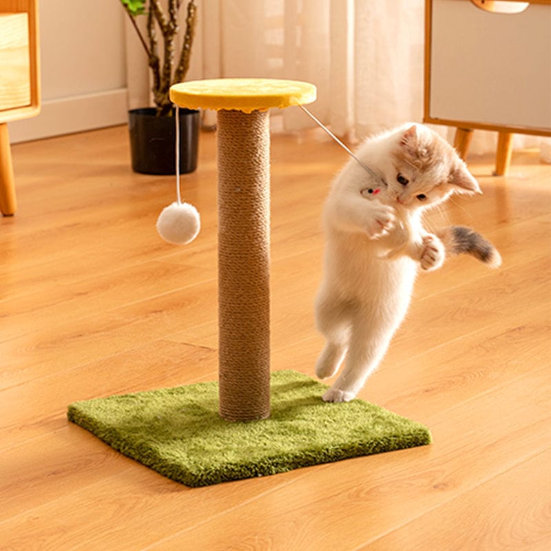 Chat jouant avec un griffoir vertical en sisal, sécurisant ses griffes et s'amusant.