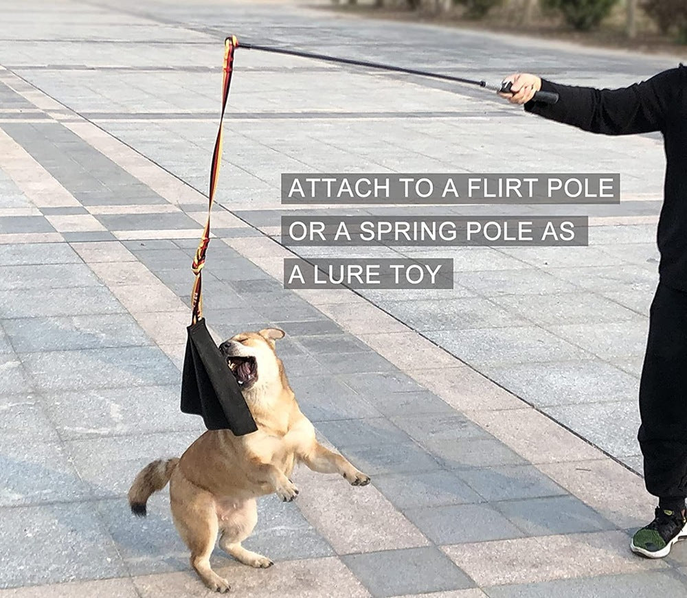 Jouet de Dressage en Cuir Crazy Horse pour Chiens