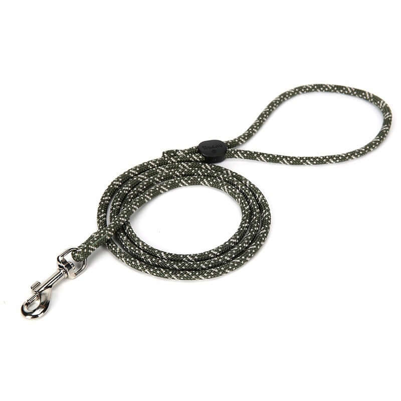 Laisse ajustable colorée pour animaux de compagnie en coton biologique, parfaite pour chiens et chats.