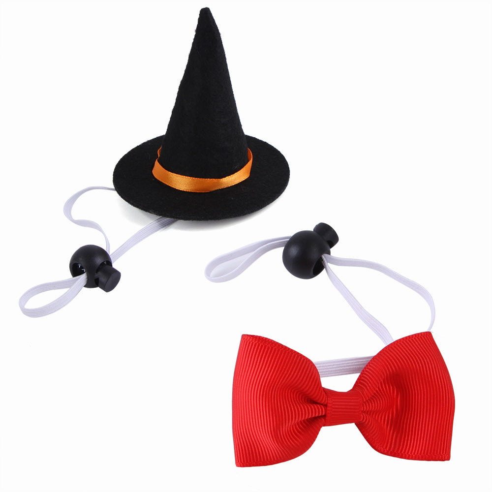 Costume de Halloween pour animaux avec chapeau de sorcier noir et nœud papillon rouge.