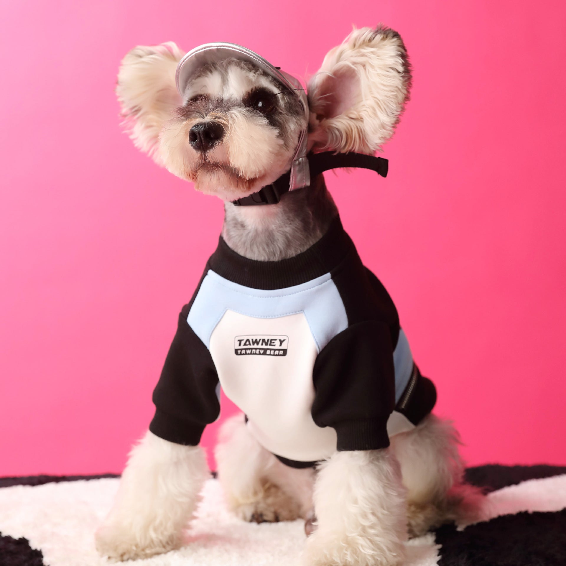 Chien stylé portant un pull zippé en coton avec casquette sur fond rose, idéal pour le confort et l'élégance.