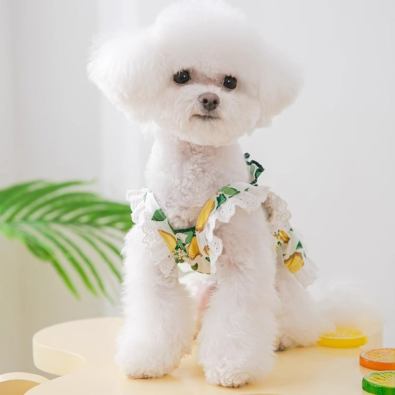 Jupe Respirante pour Chien - Style Princesse