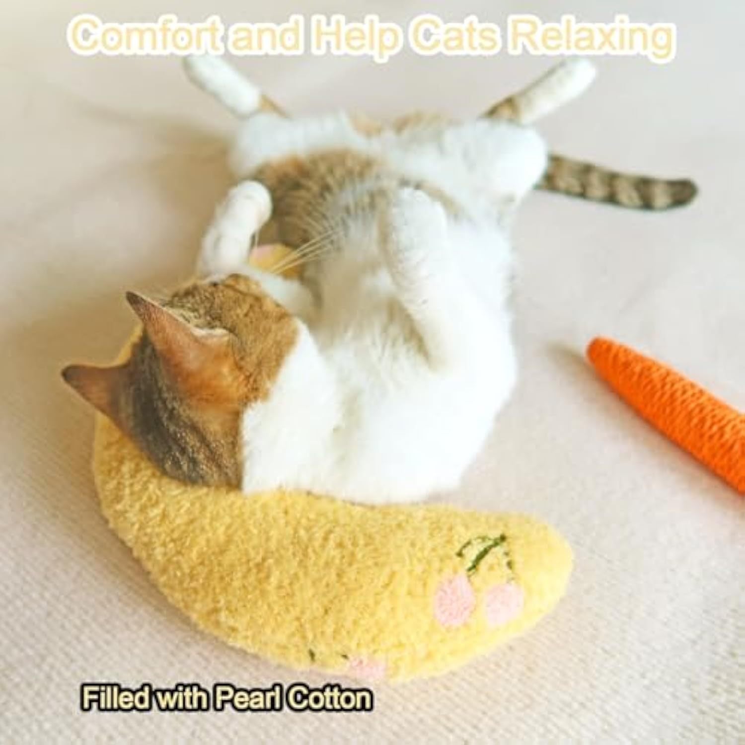 Coussin Doux pour Chats - Idéal pour le Sommeil et la Détente