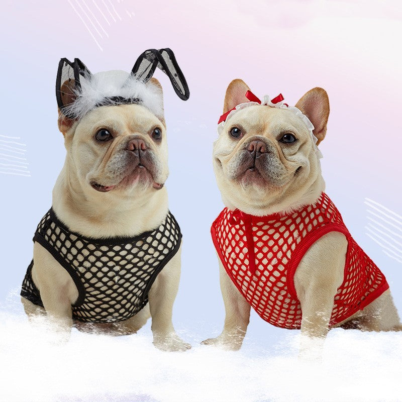 Deux chiens en gilets en maille aérée, l'un noir et l'autre rouge, avec des accessoires amusants.