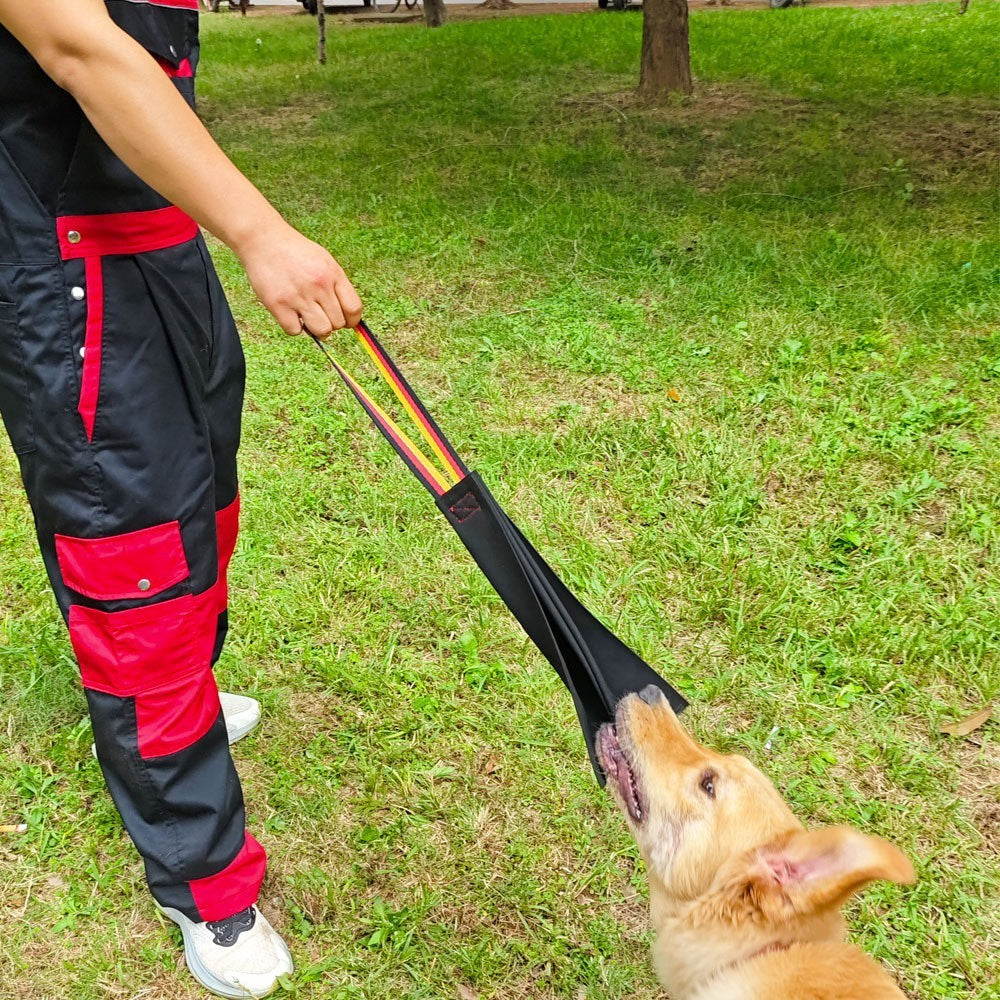 Jouet de Dressage en Cuir Crazy Horse pour Chiens
