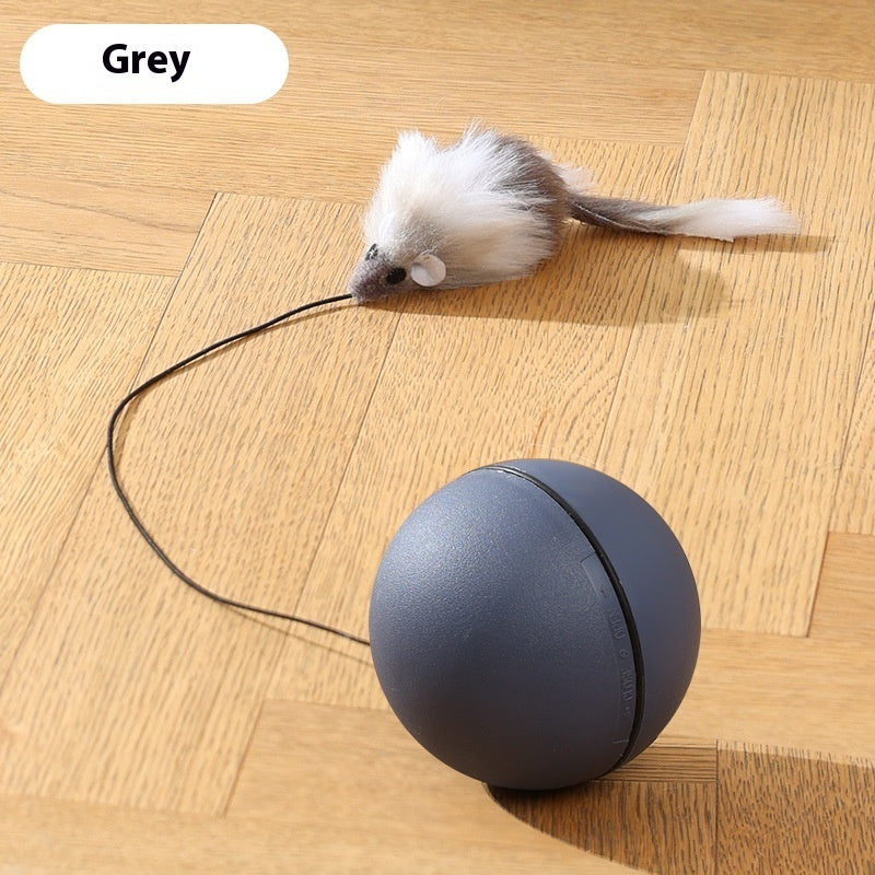 Balle Teaser Électrique pour Chats et Chiens