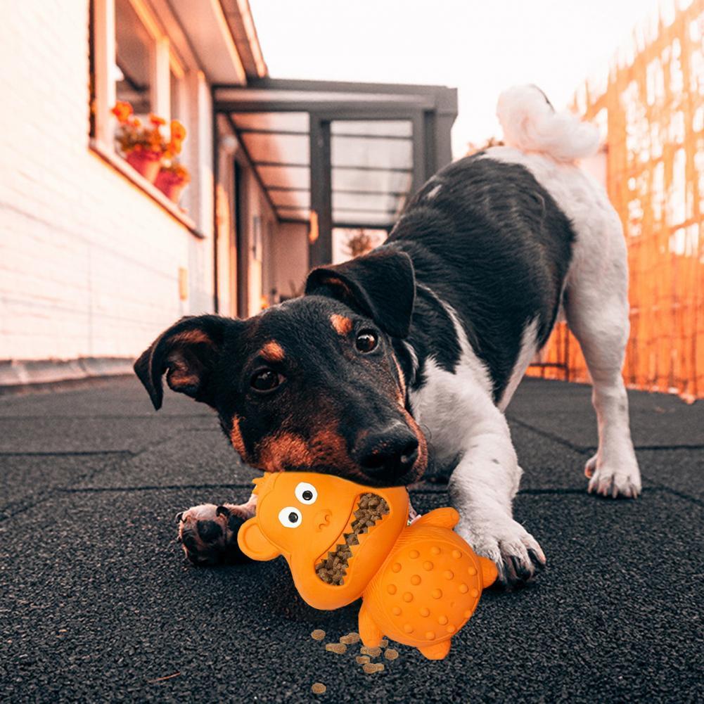 Jouet à Mâcher en Caoutchouc pour Chien