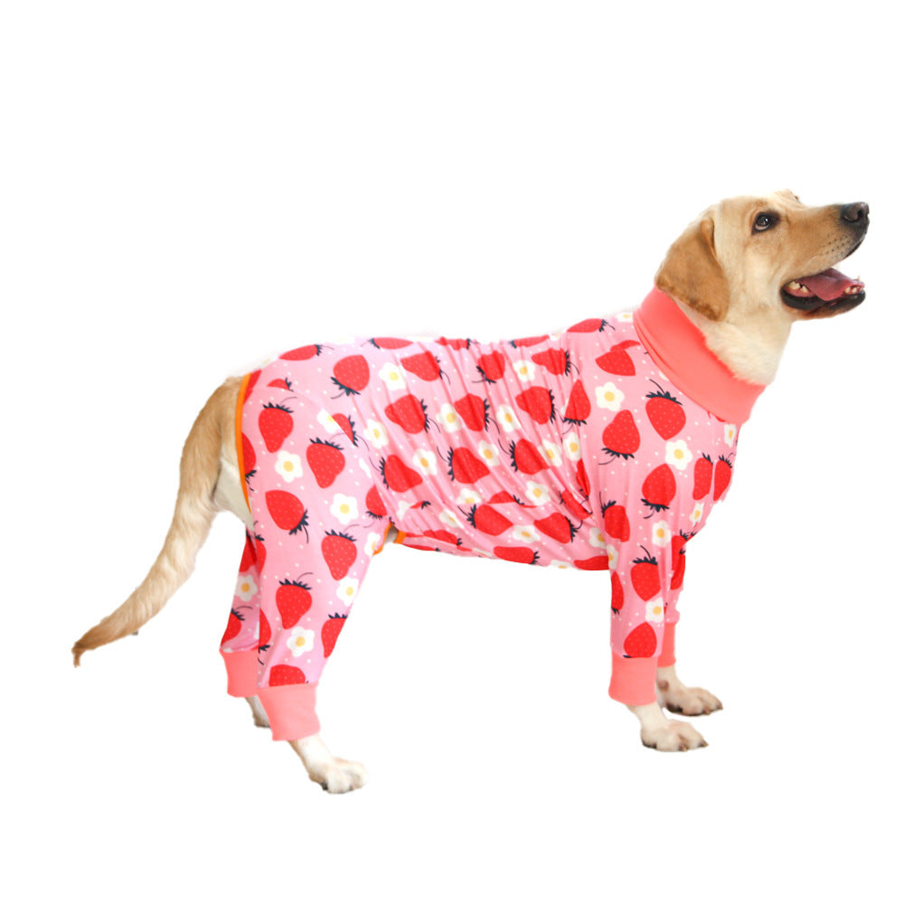 Chien en coton avec imprimé de fraises, offrant confort et style pour les animaux de compagnie.