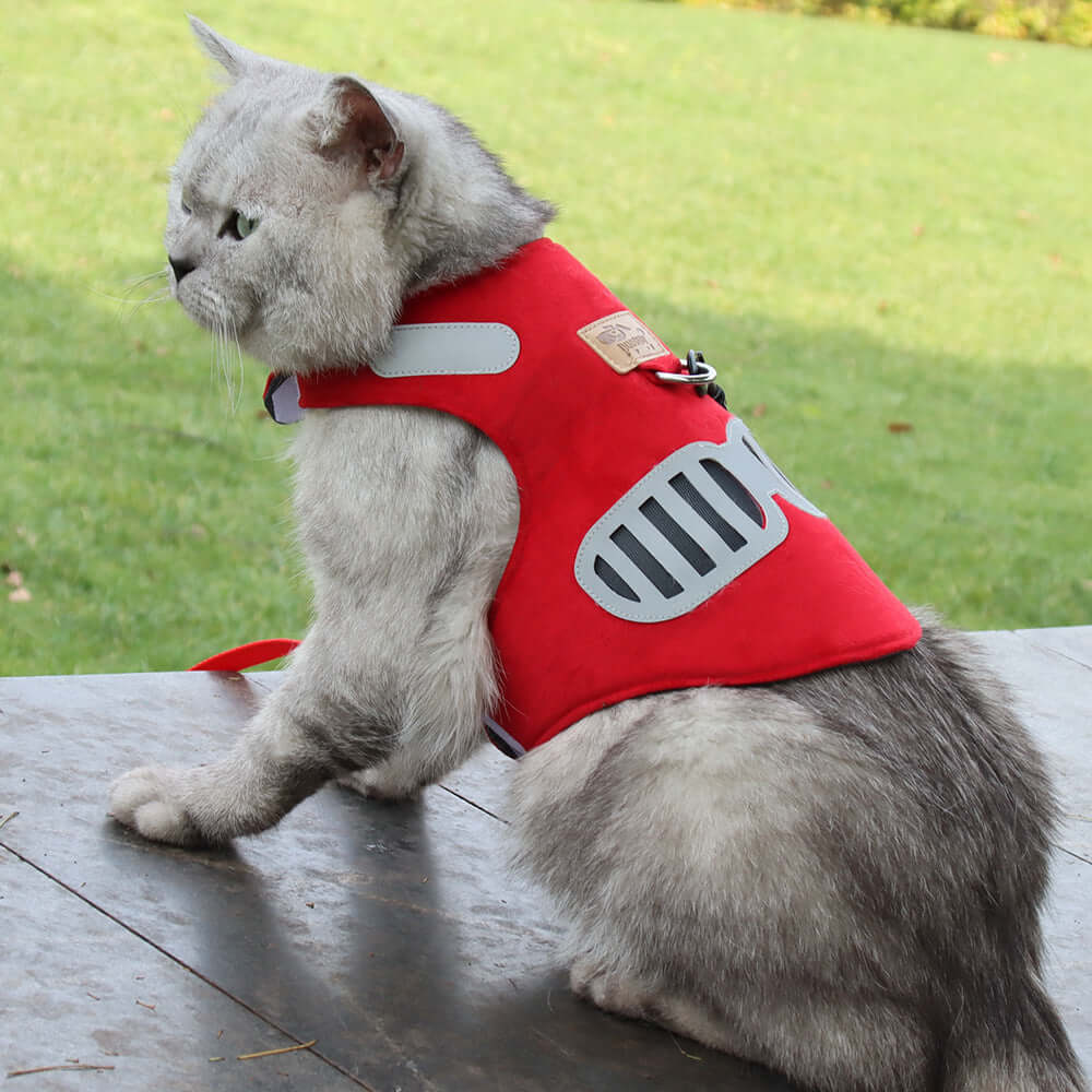 Chat portant un harnais doux en suède rouge, idéal pour des promenades confortables et sécurisées.
