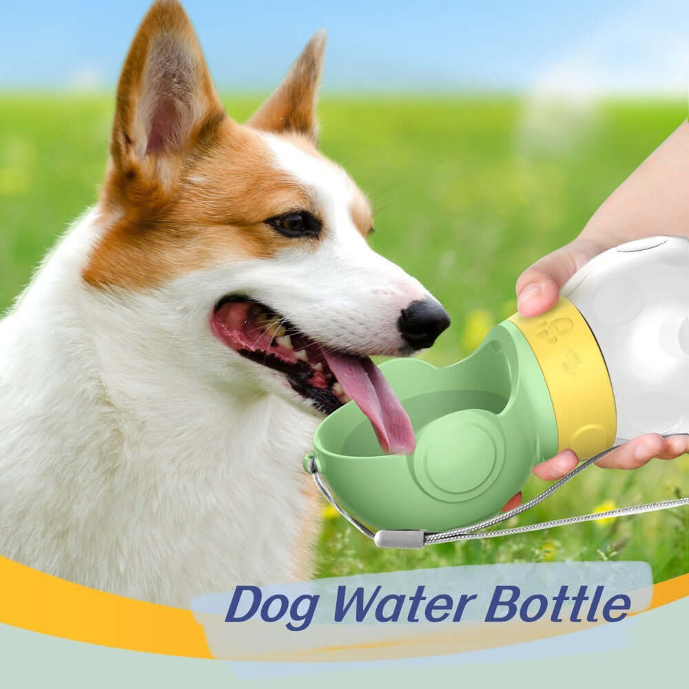 Bouteille d'eau portable pour chiens, idéale pour l'hydratation des petits animaux en extérieur.