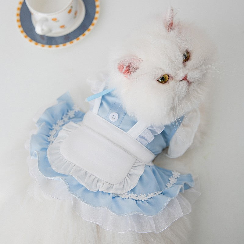 Chat blanc portant une robe bleue mignonne, assis sur une table avec une tasse à café.