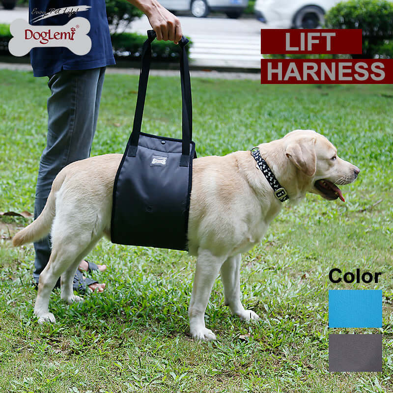 Harnais de levage pour chien DogLemi, idéal pour le soutien des chiens blessés, disponible en bleu et gris.