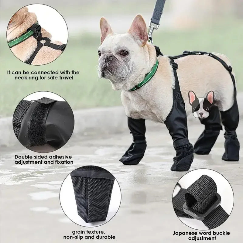 Bottes étanches réglables pour chiens, offrant confort et sécurité lors des promenades par tous types de terrains