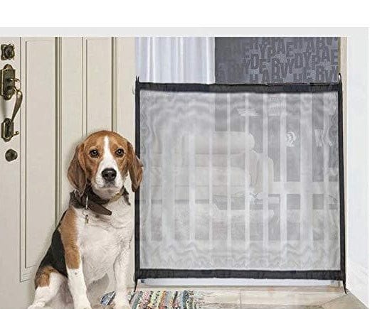 Clôture de sécurité pour animaux avec un chien à côté, idéal pour protéger espaces sensibles à la maison.