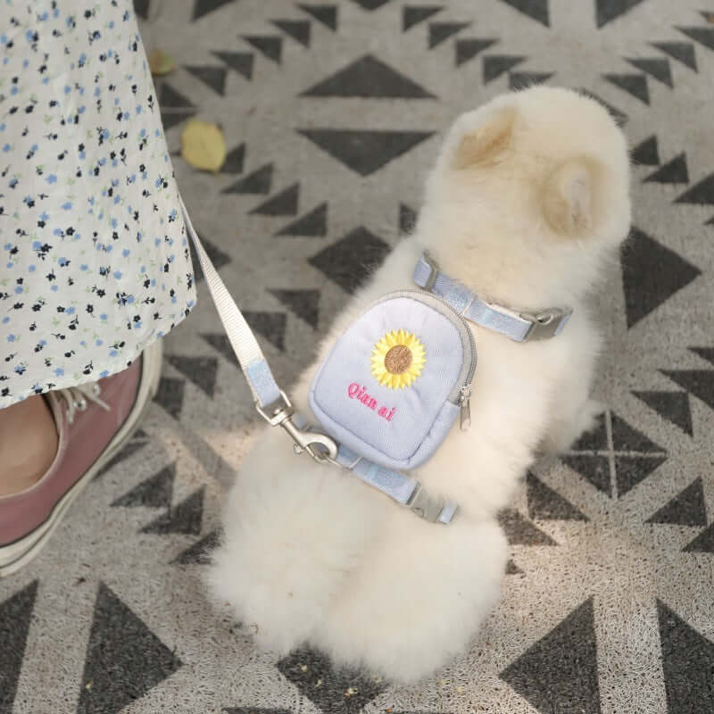 Chien portant un harnais de traction en coton avec motif, en promenade sur un chemin. Idéal pour animaux.