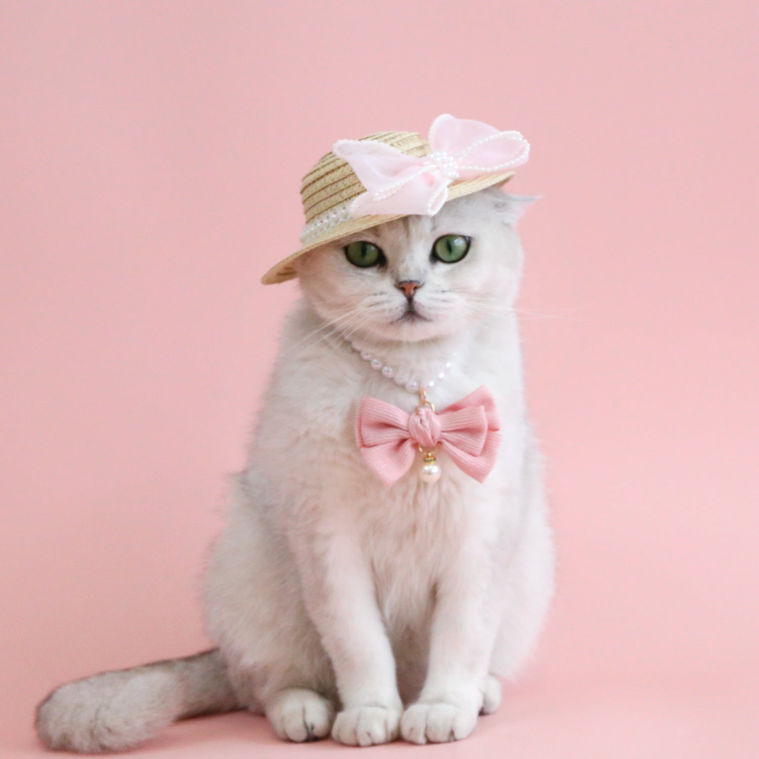 Chat portant un chapeau en paille avec nœud en perles, ajoutant une touche élégante à la mode féline.