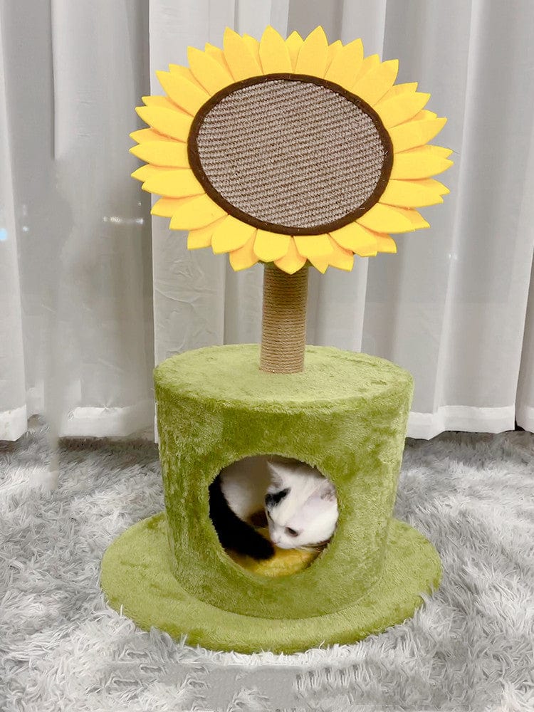 Arbre à gratter en sisal pour chats en forme de tournesol avec un chat noir et blanc à l'intérieur.