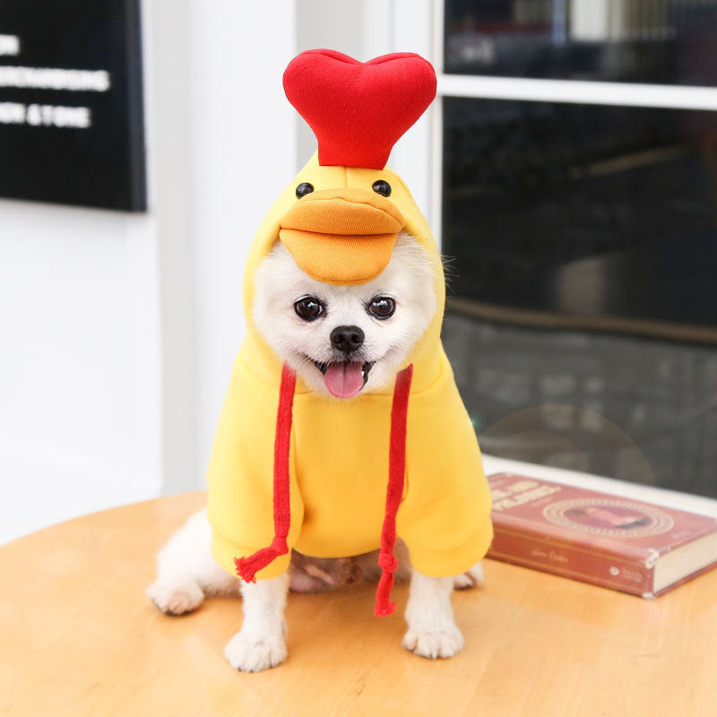 Chien portant un costume jaune amusant avec capuchon en forme de canard, ajoutant une touche ludique à la mode canine.
