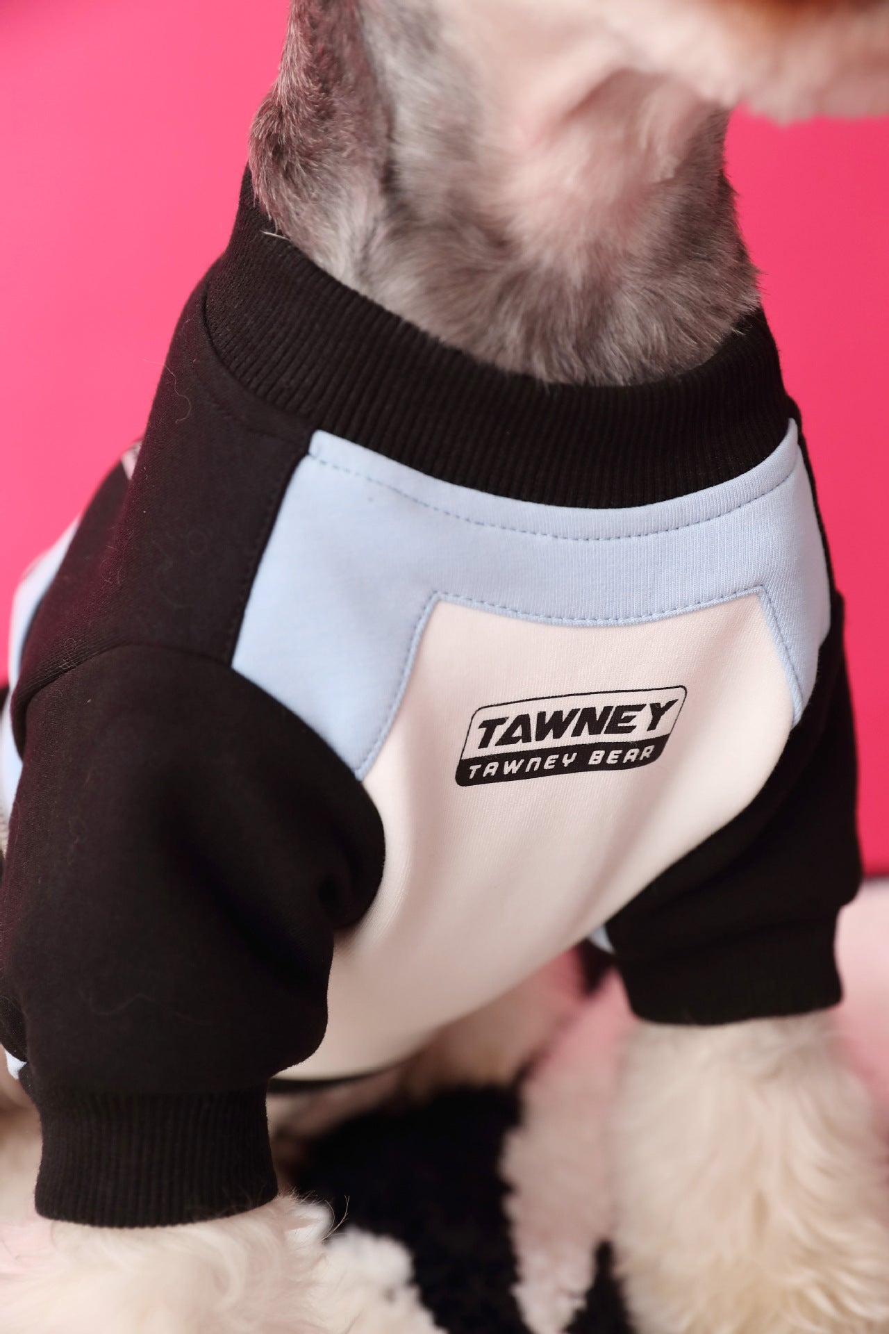 Pull zippé en coton pour chien noir et bleu, élégant et confortable avec logo, parfait pour les journées fraîches.
