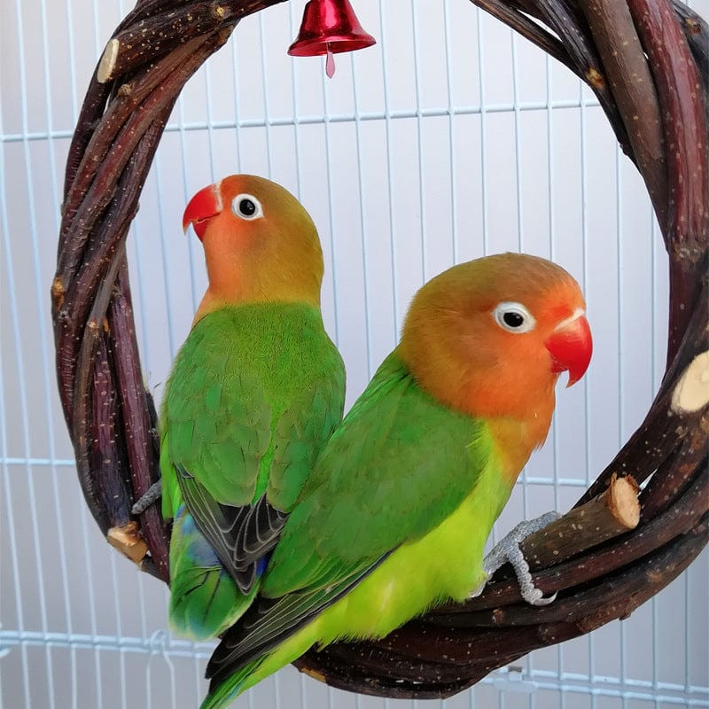 Jouet à mâcher en rattan pour oiseaux - Cadre de volière