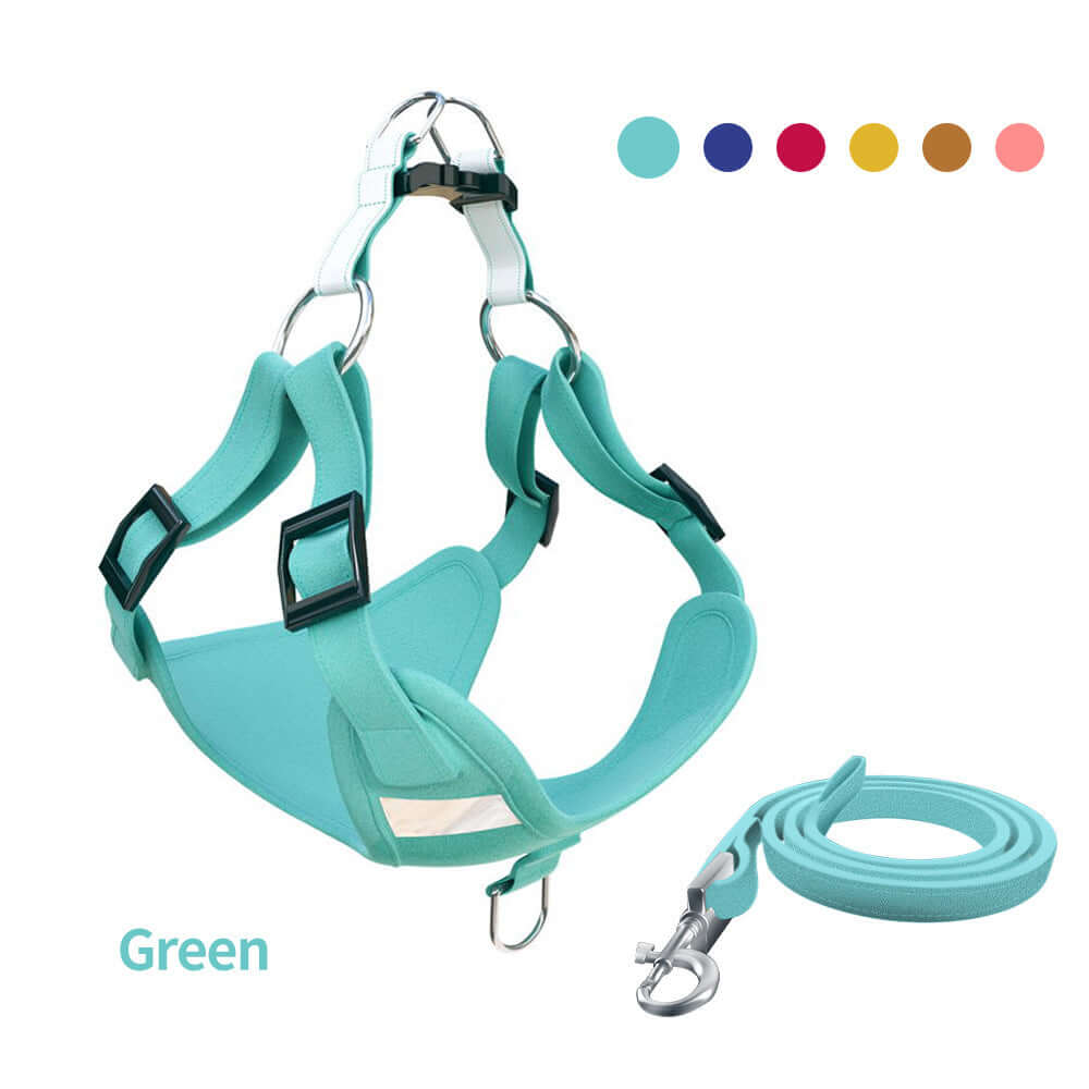 Gilet chien vert avec harnais réfléchissant et laisse assortie en suède, accessoire pour animaux de compagnie.