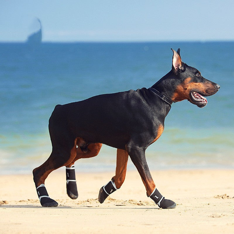 Doberman wearing anti-slip shoes walking on the beach, showcasing comfort and style for pets.