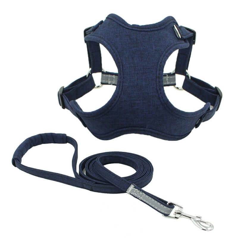 Harnais de sécurité pour chien avec laisse assortie, conçu pour un confort et un contrôle optimal lors des promenades.