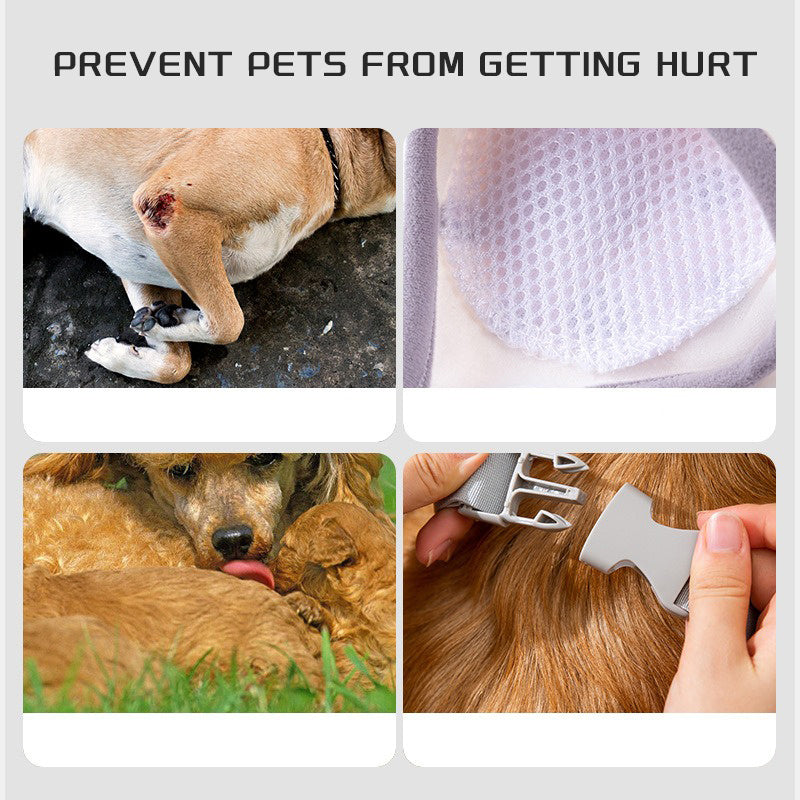 Collage of pet safety featuring injured dog, protective gear, and grooming tools for pet care.