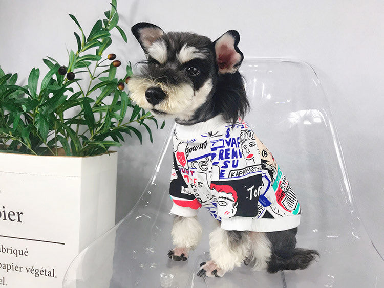 Chien Schnauzer portant un pull en coton coloré, assis devant une plante décorative, affichant un style décontracté.