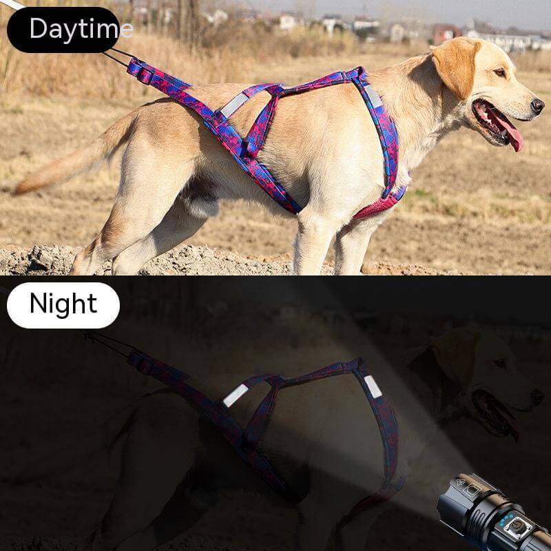 Harnais de traction pour chien en nylon avec éclairage nocturne, illustré en journée et nuit.
