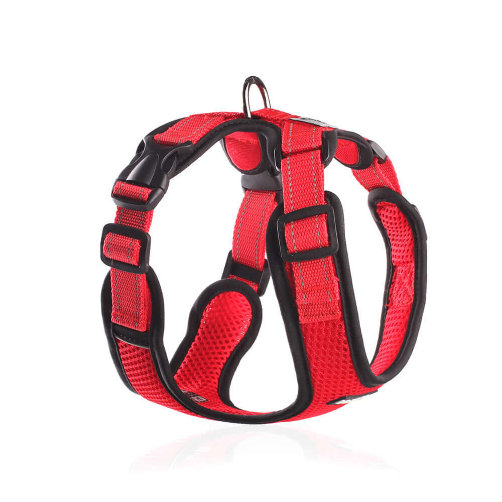 Harnais pour chien en maille rouge, réfléchissant et respirant, idéal pour les promenades nocturnes.