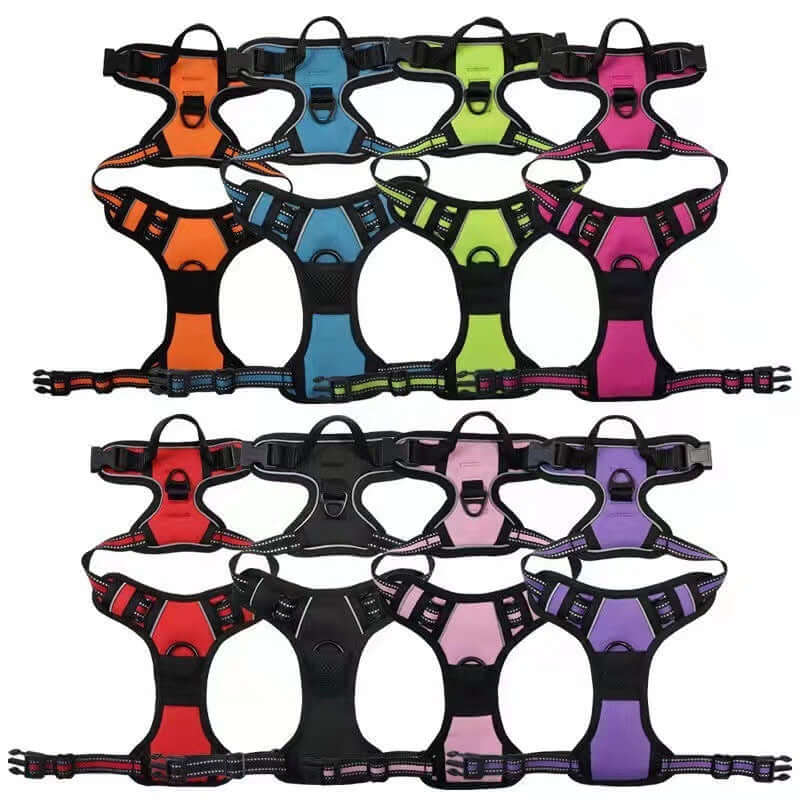 Gilets anti-choc réfléchissants pour chien en diverses couleurs, garantissant sécurité et style.