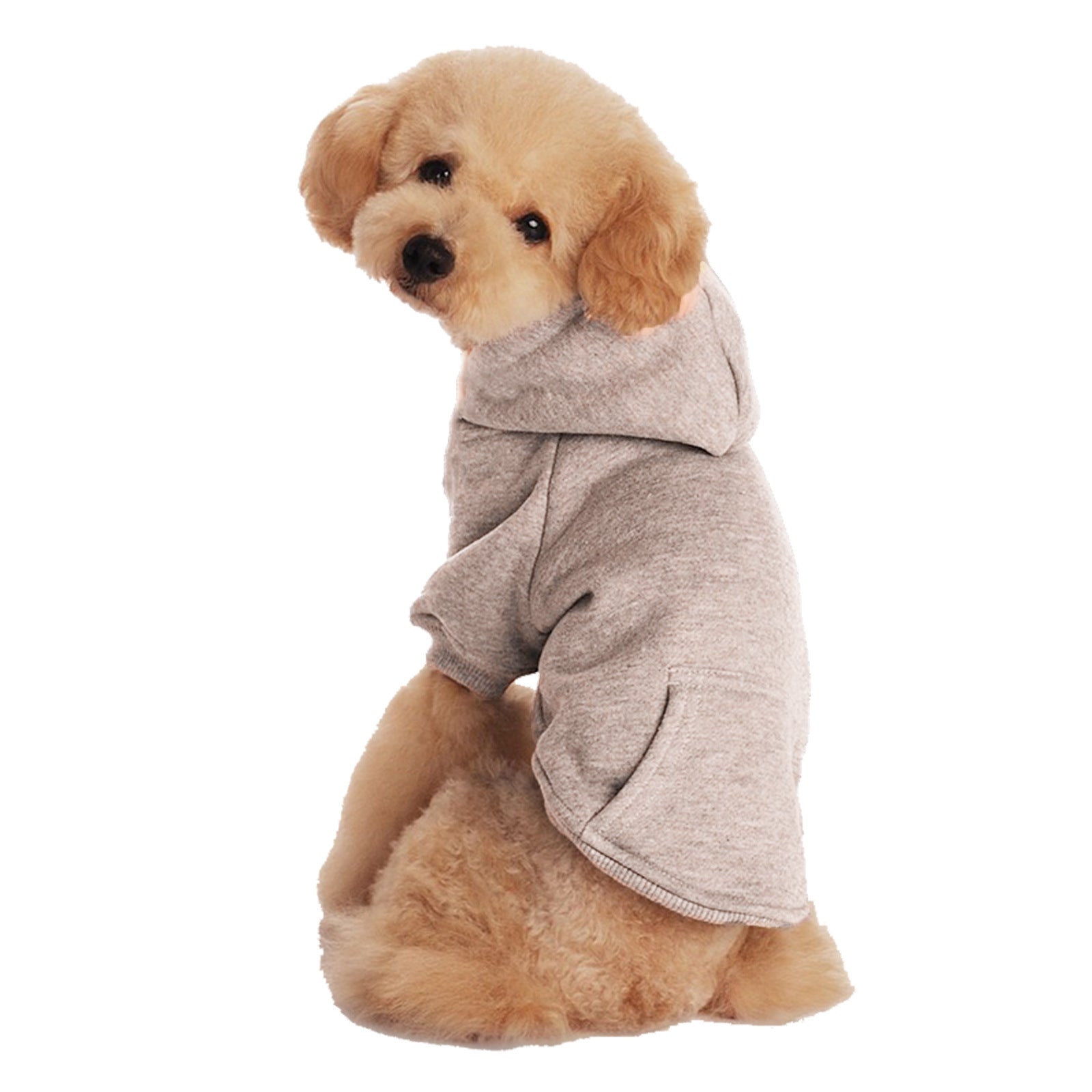 Chien en pull en fleece gris avec capuche, confortable et stylé pour petits chiens.