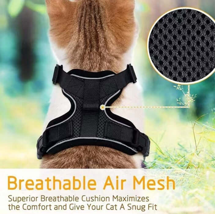 Harnais respirant pour chats en maille noire, offrant confort et fraîcheur lors des promenades et activités.