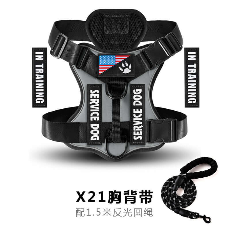 Harnais tactique pour chien avec inscriptions 'Service Dog' et 'In Training', couleur grise et accessoire de traction.