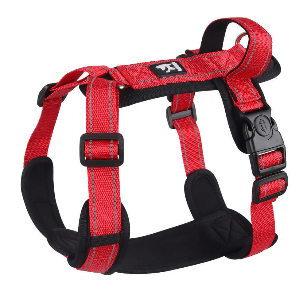Harnais de sécurité pour chien rouge, conçu pour le confort et la sécurité en promenade.