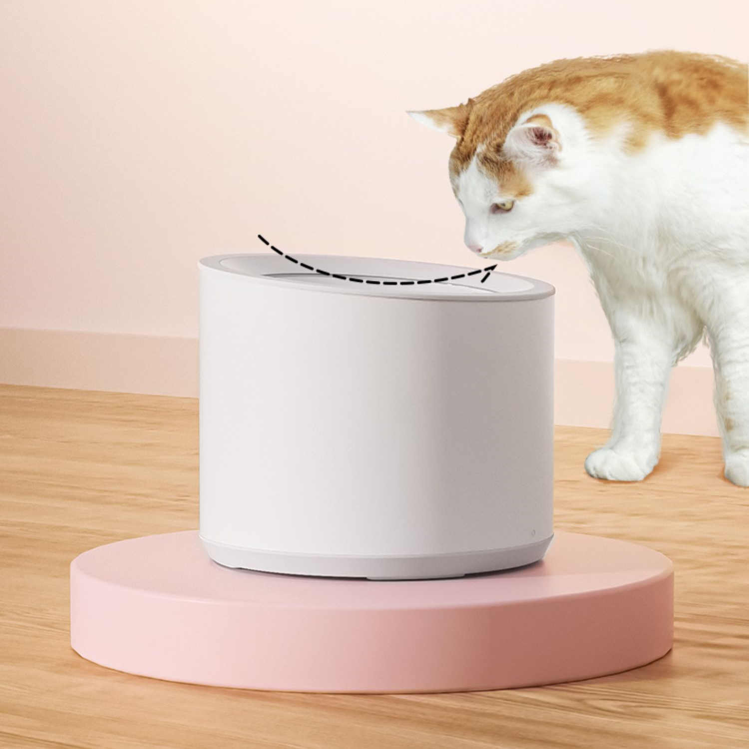Distributeur d'eau intelligent pour animaux avec lampe UV, chat curieux explorant.