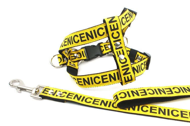 Collier de traction pour chien et laisse assortie en polyester jaune avec inscription, idéal pour les promenades.