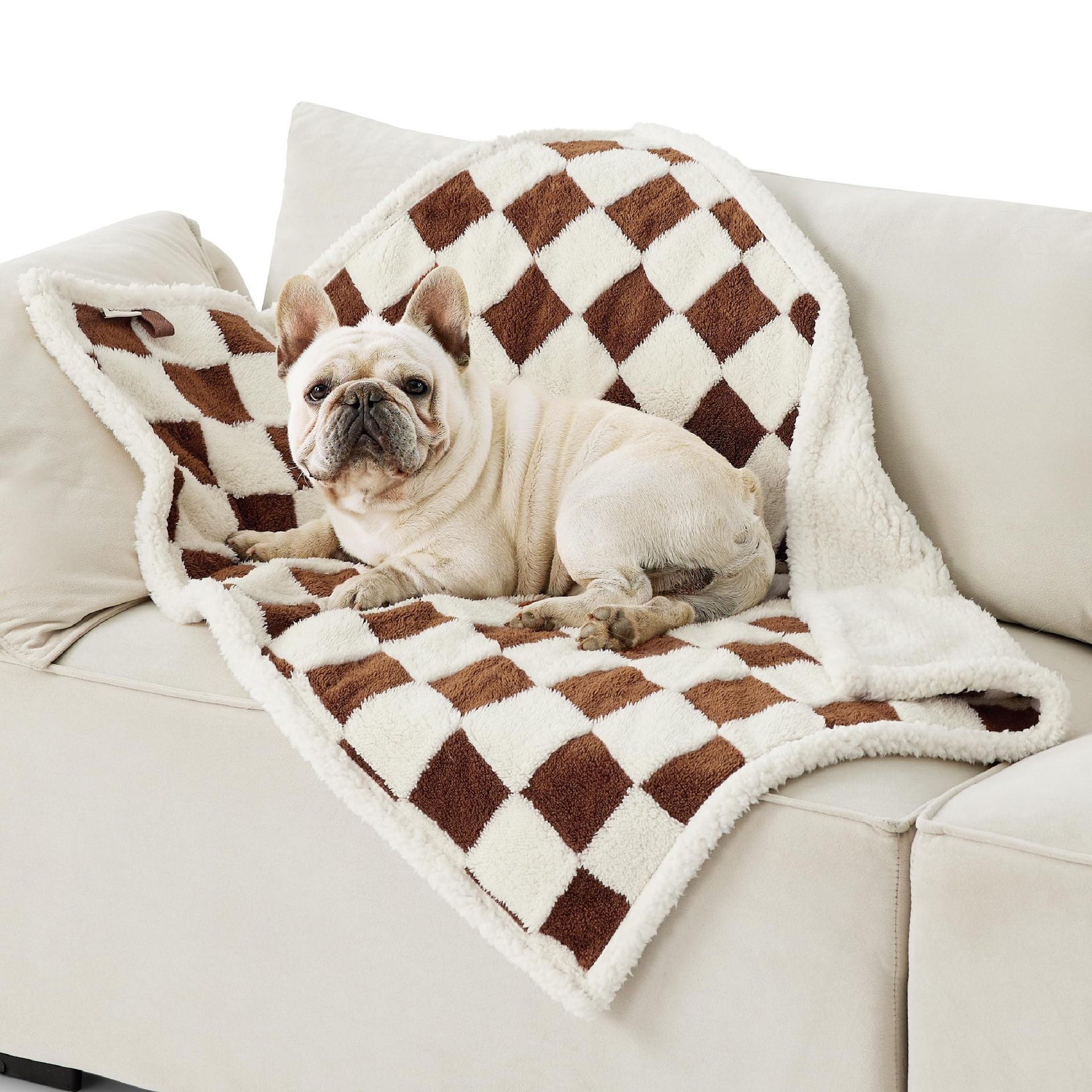 Couverture Impermeable pour Chiens en Coton Épais
