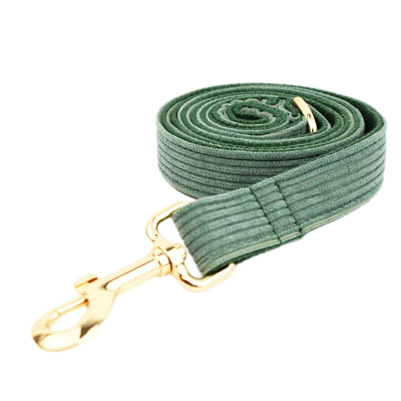Laisse pour chien en velours vert avec attache dorée, élégante et durable pour promenades confortables.