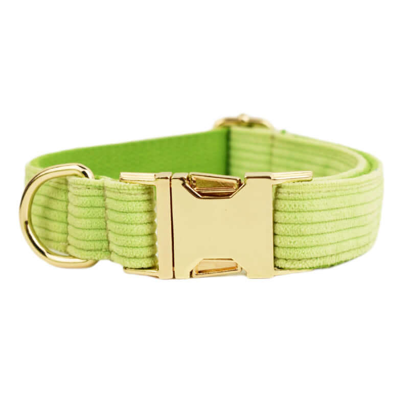 Collier en velours pour chien de couleur verte avec boucle dorée, élégant et confortable pour votre animal.