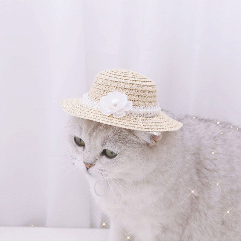 Chapeau en papier ajustable avec nœud pour chat, style mignon, idéal pour toutes les saisons.